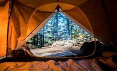 Plan A Camping Trip: 5 Things To Do