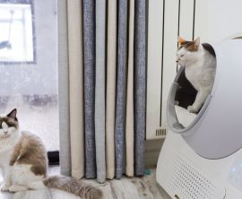 Top 5 Automatic Self Cleaning Litter Box for Cats At Litter Robot